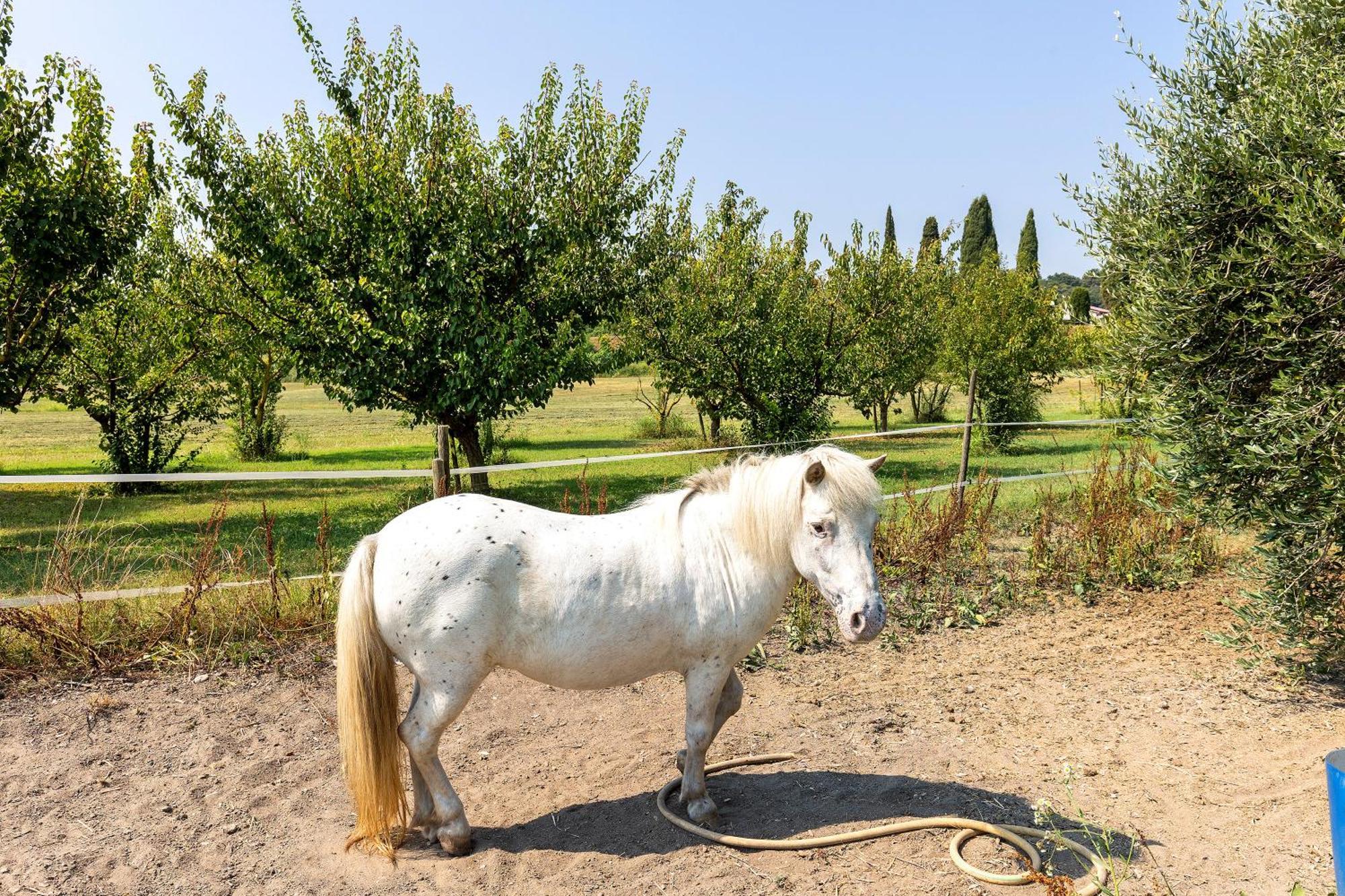 New Agriturismo Corte Olfino Monzambano Eksteriør bilde