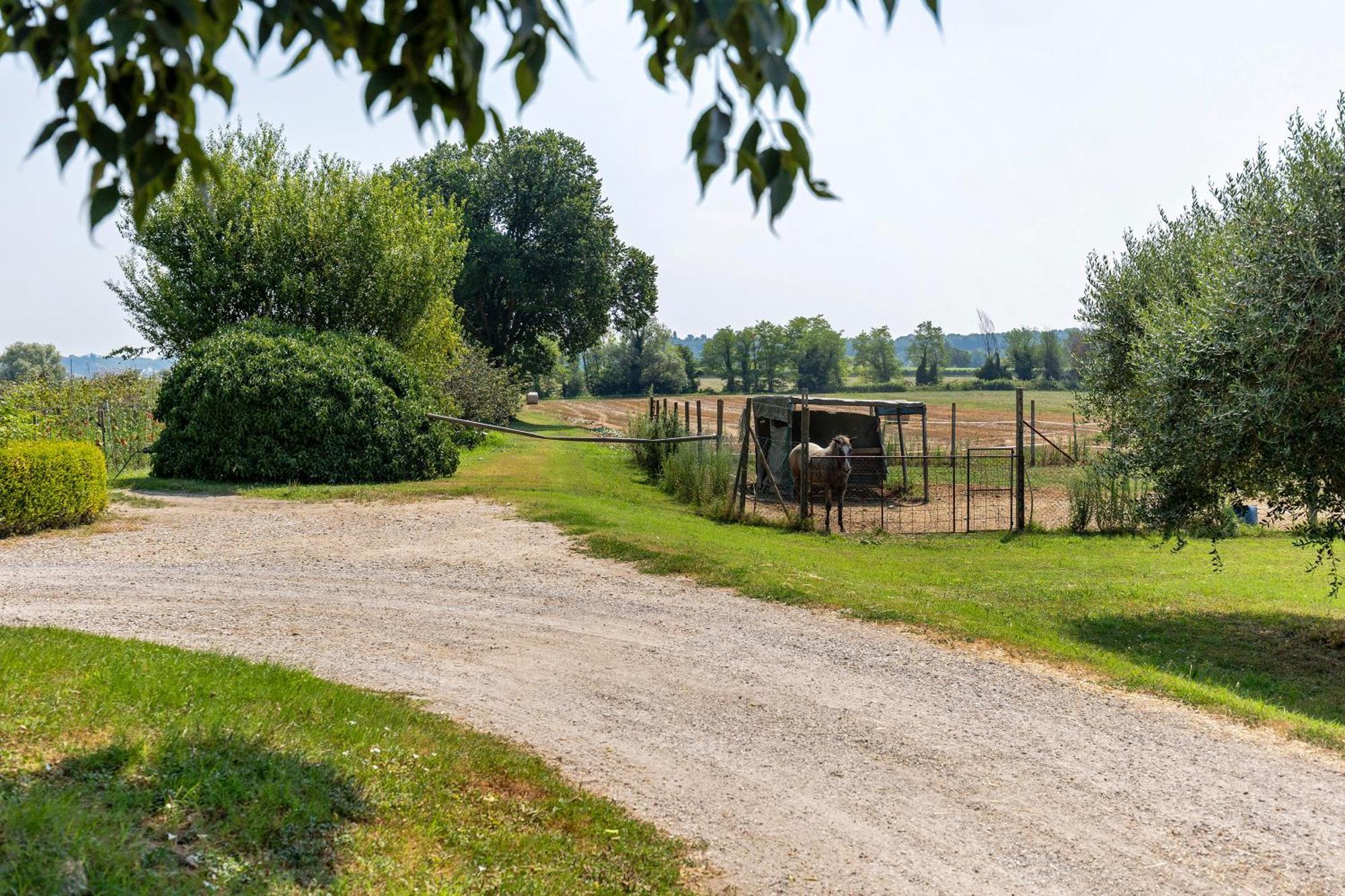New Agriturismo Corte Olfino Monzambano Eksteriør bilde